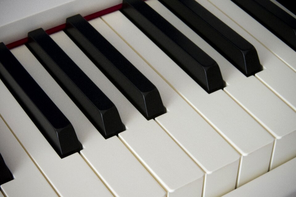Music musical instrument ivory