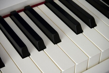 Music musical instrument ivory
