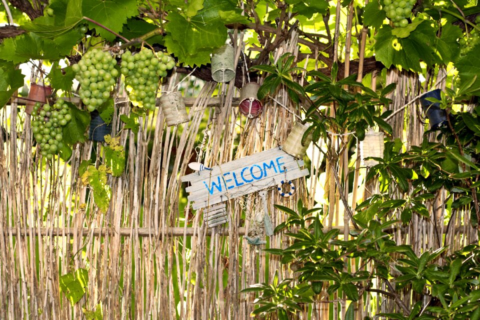 Summer decoration home