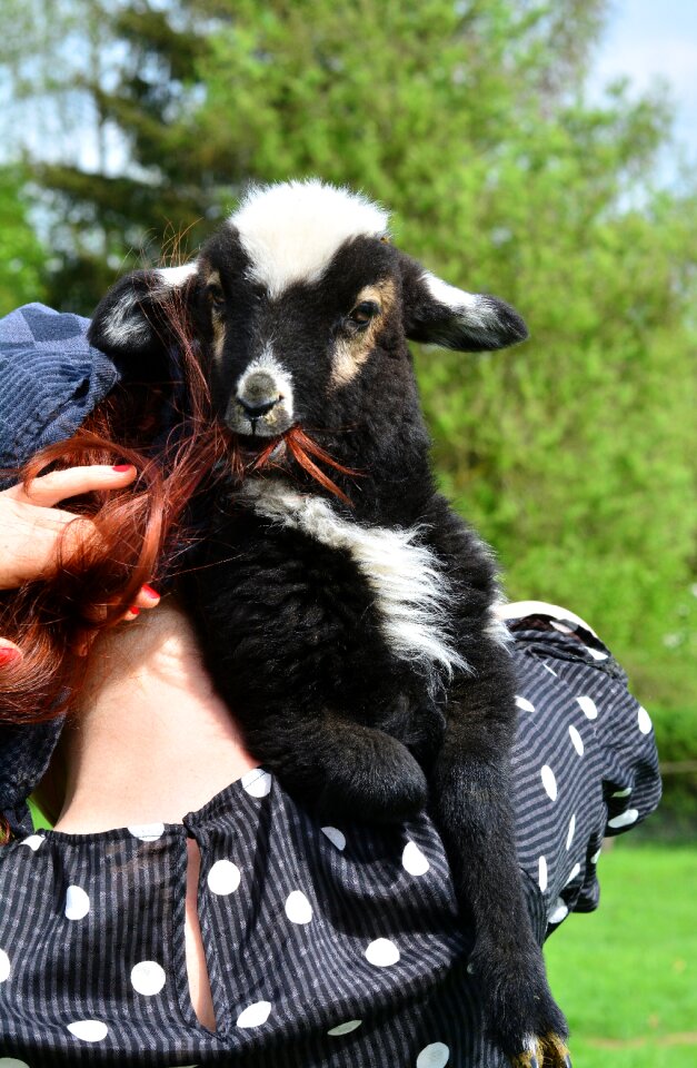 Eat portrait animals
