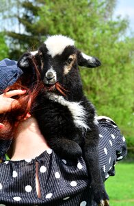 Eat portrait animals photo