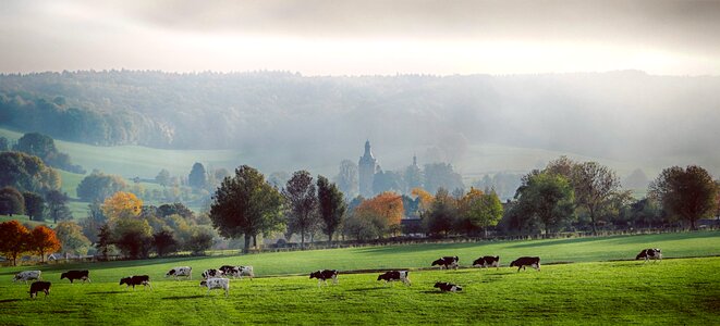 Autumn distance mystical photo