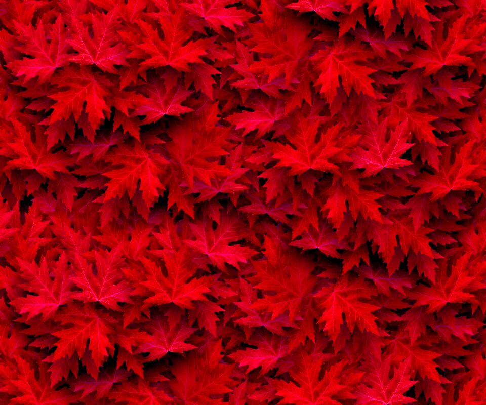 Nature leaves colorful