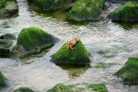Sea beach water