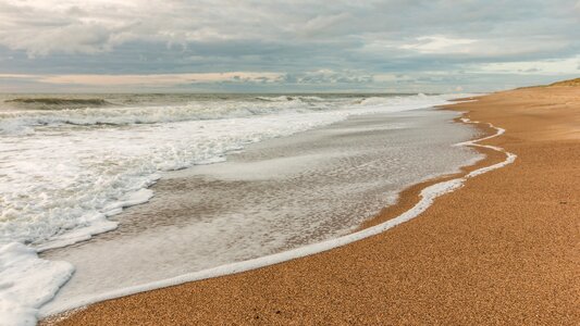 North sea nature landscape