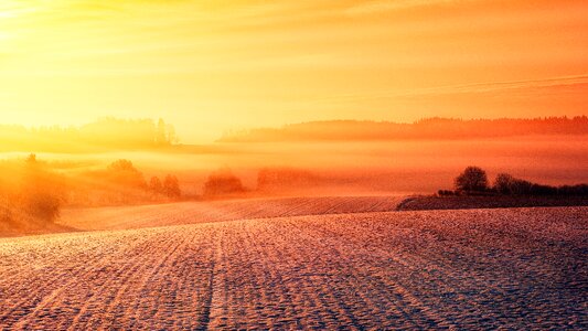 Winter nature wintry