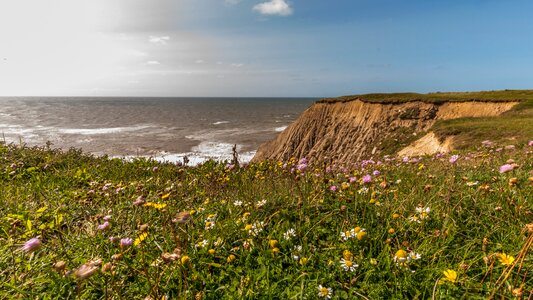 Coast landscape rock