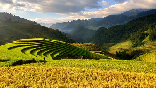 Vietnam agriculture asia farm photo