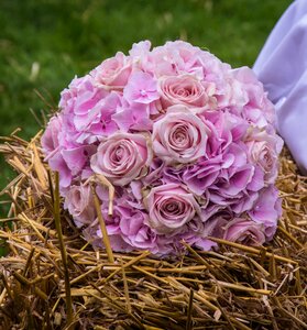 Flowers bridal bouquet marry