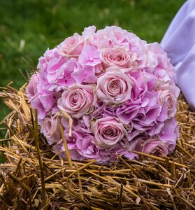 Flowers bridal bouquet marry photo