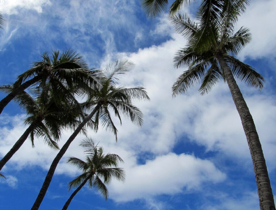 Beach maui hawaii