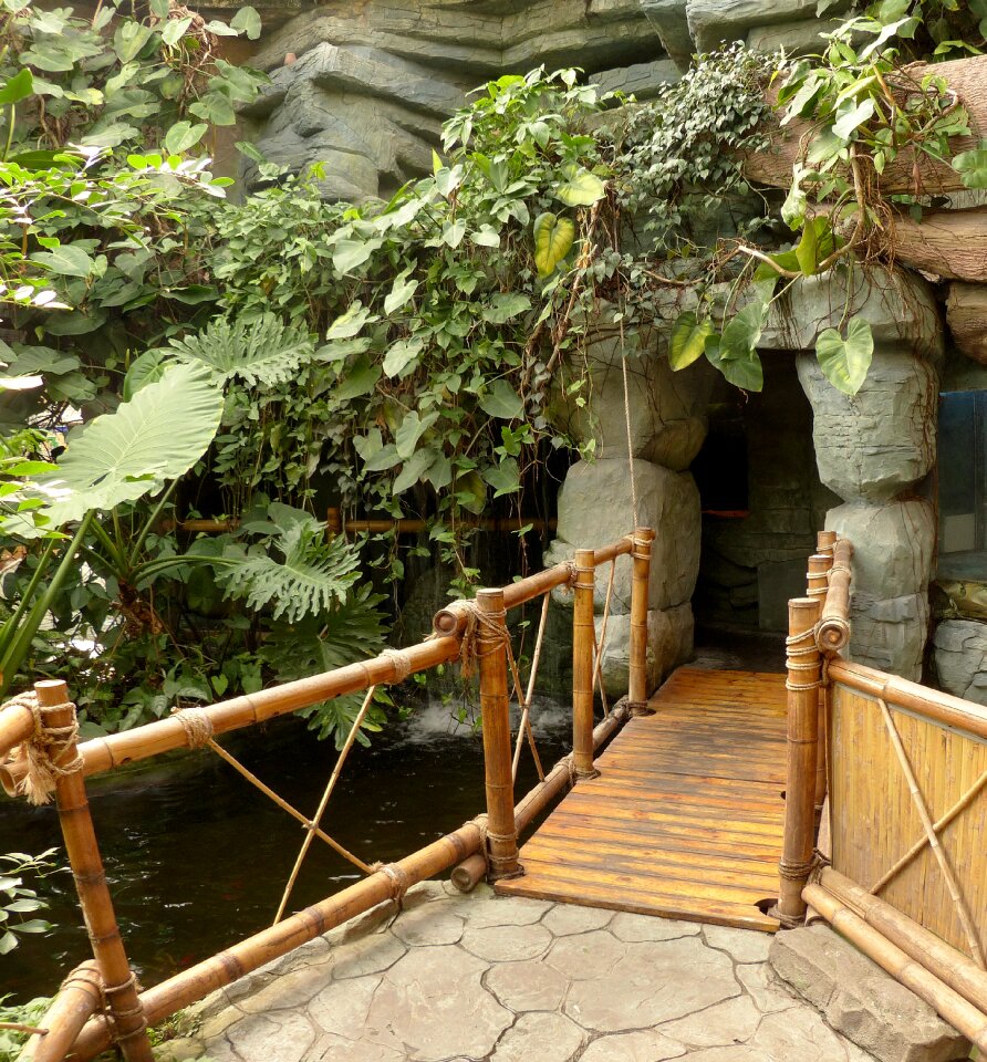 Botanical garden exotic plants bridge
