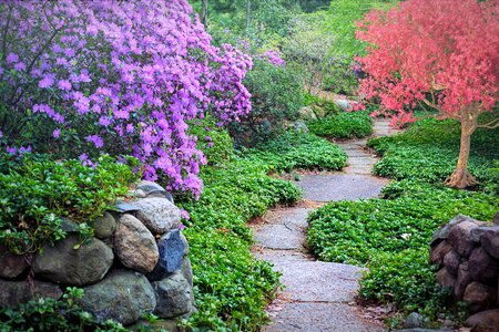 Pathway walk nature