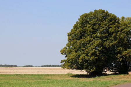 Nature field sky