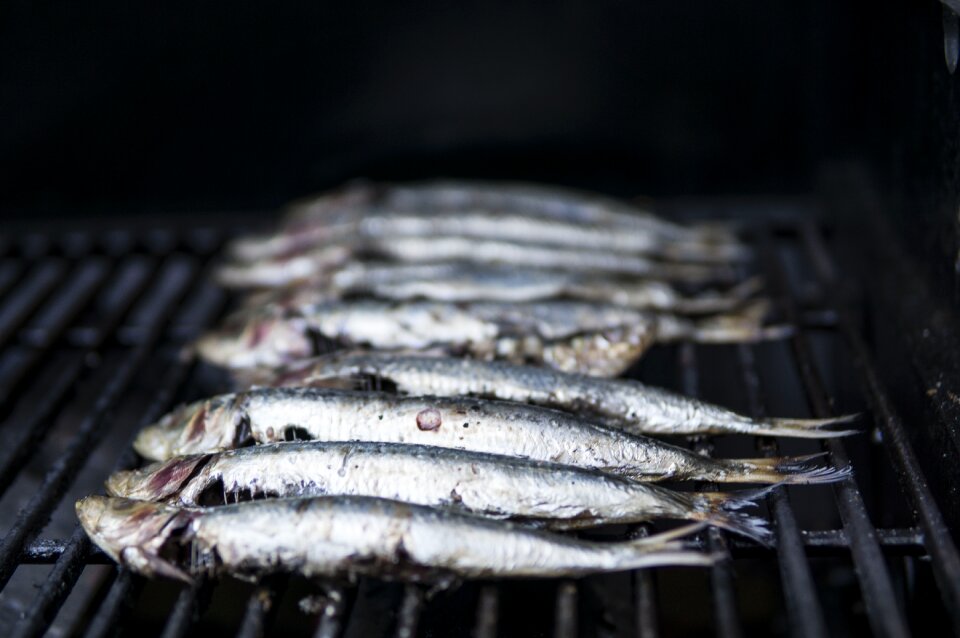 Mediterranean fishing appetizer