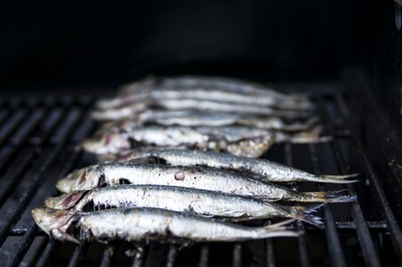 Mediterranean fishing appetizer photo