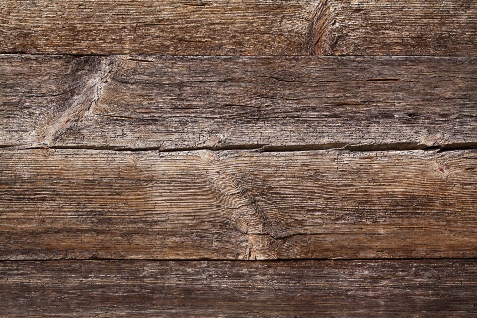 Old woods background