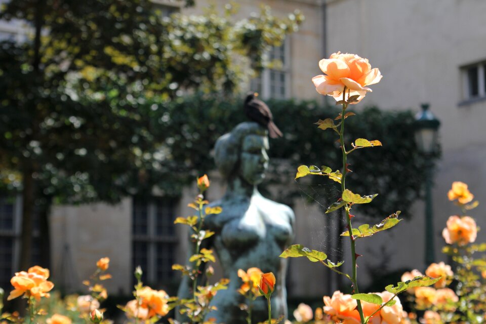 France sculpture garden