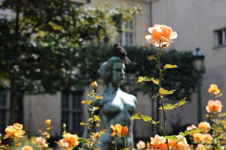 France sculpture garden photo