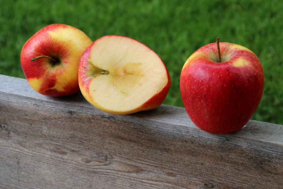 Seasons of the year sweet the richness of