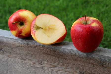 Seasons of the year sweet the richness of
