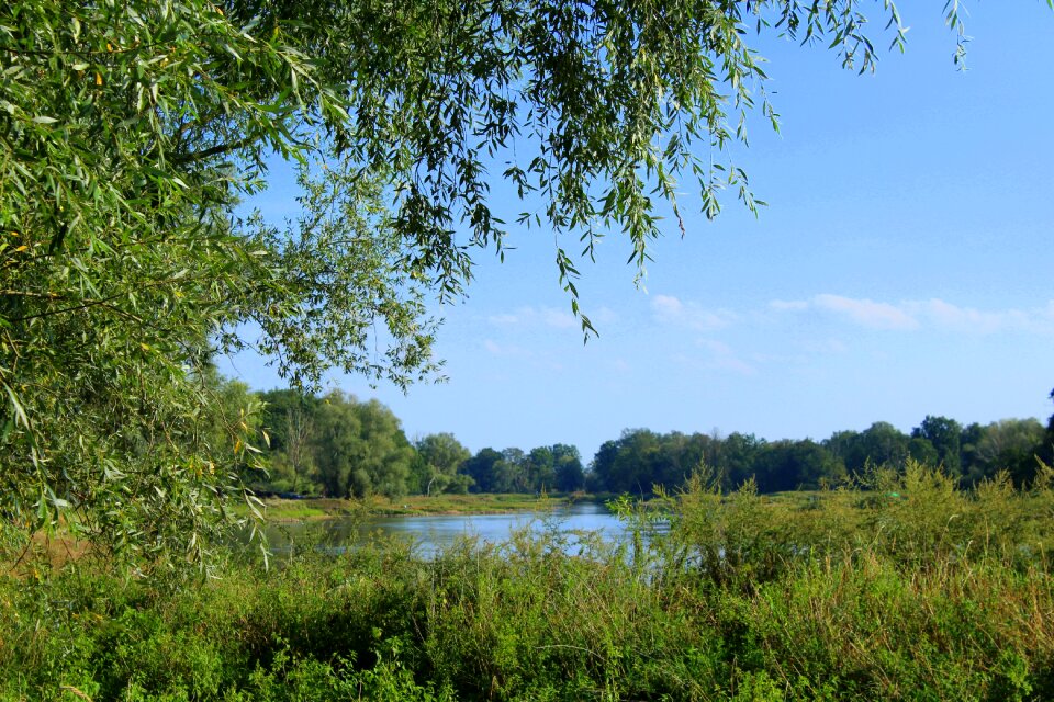 View summer nature