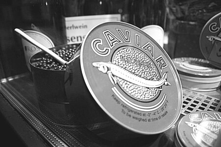 Hamburgensien caviar black and white photography photo