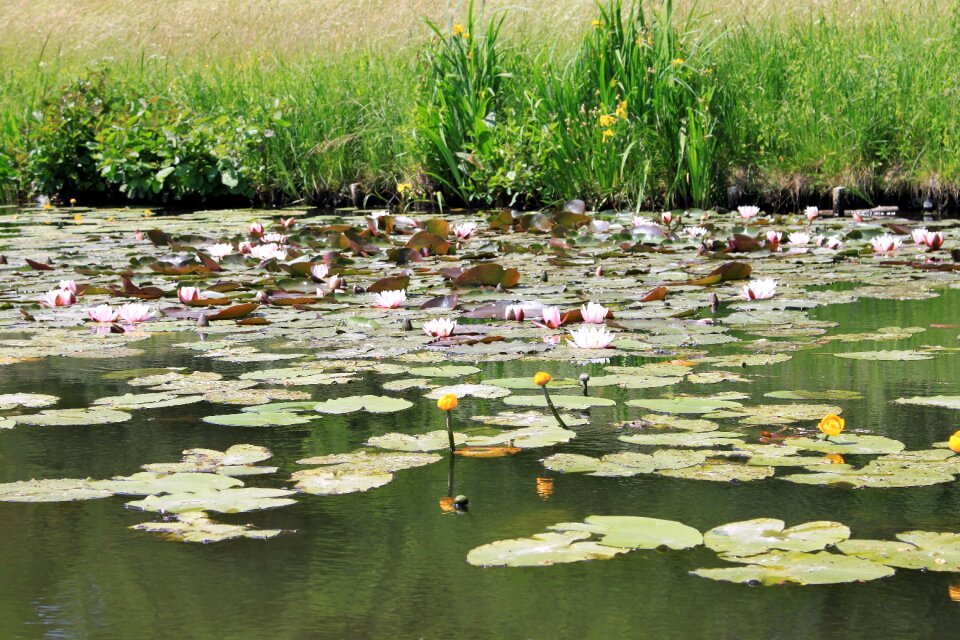 Germany saxony-anhalt water
