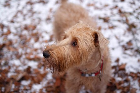 Snow love happiness
