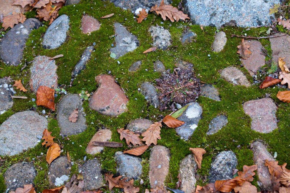 Path hiking autumn photo