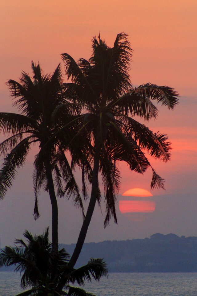 Coast sun eden