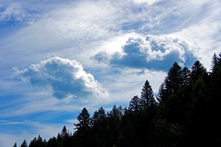 Nature trees mountains photo