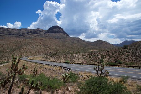 Desert clouds cactus