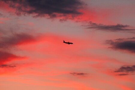 Sunset flight evening sky photo