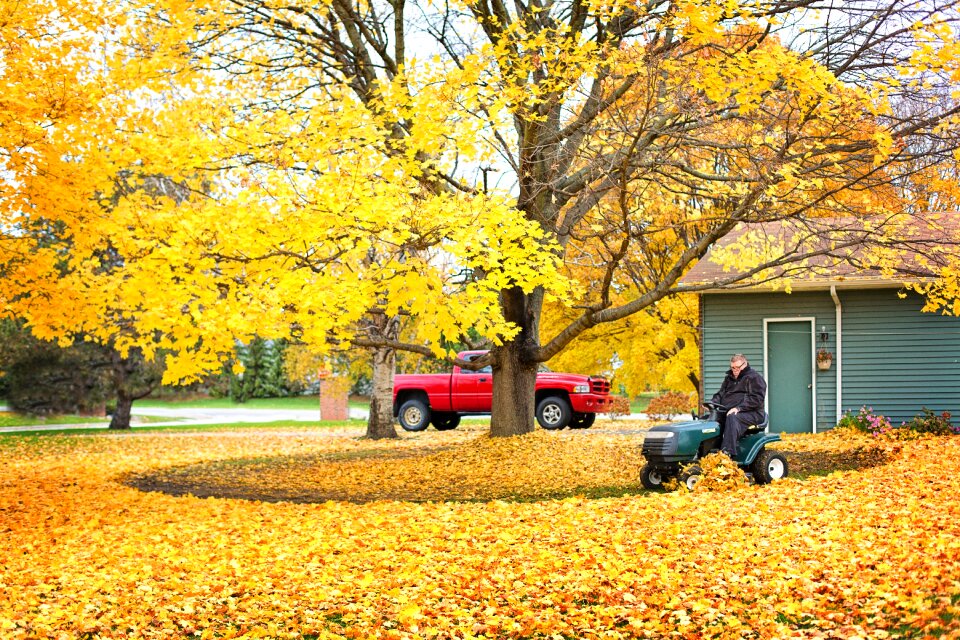 Raking plowing leaves autumn
