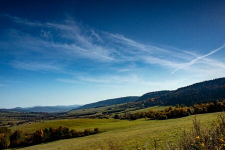 Grass natural scenery