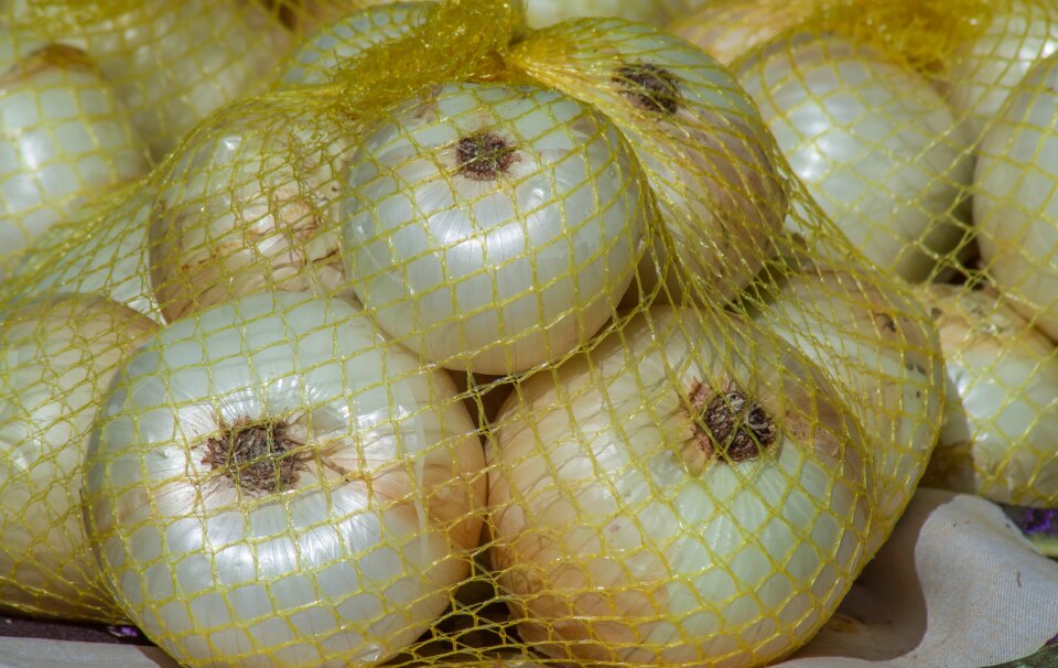 Vegetable market harvest