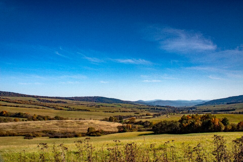 Field season nature