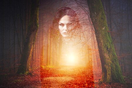 Horror scary fear