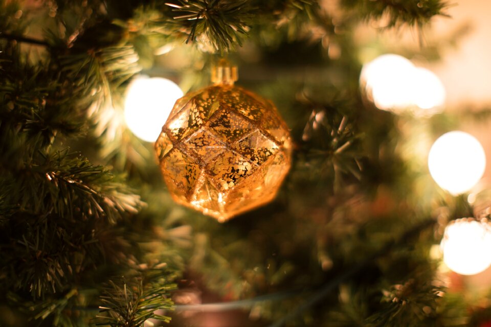 Christmas ornament christmas ornaments ornaments