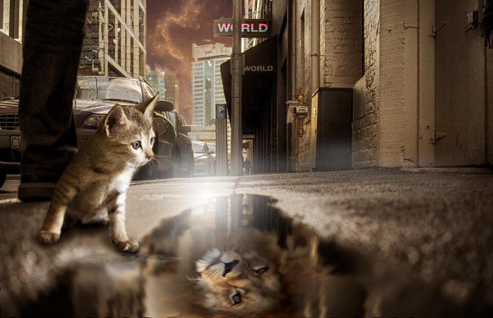Fantasy photomontage reflection