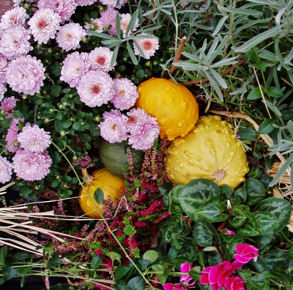 Floral arrangement decoration bouquet