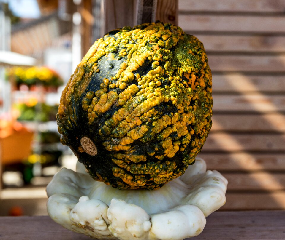 Harvest farmer's market green