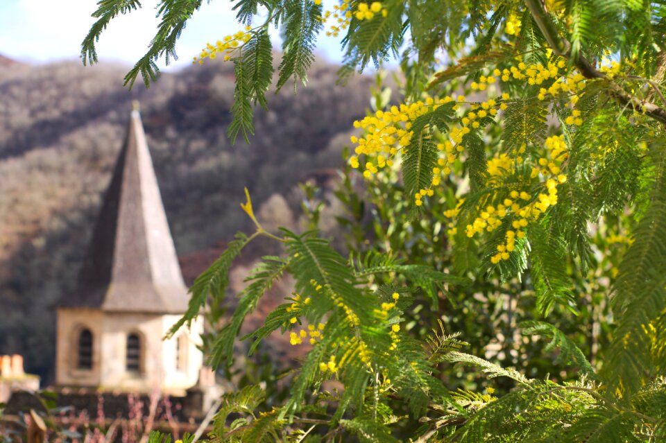 Yellow medieval abbey
