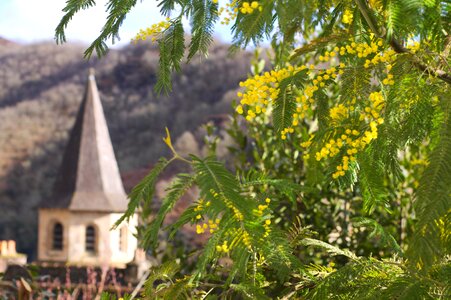 Yellow medieval abbey