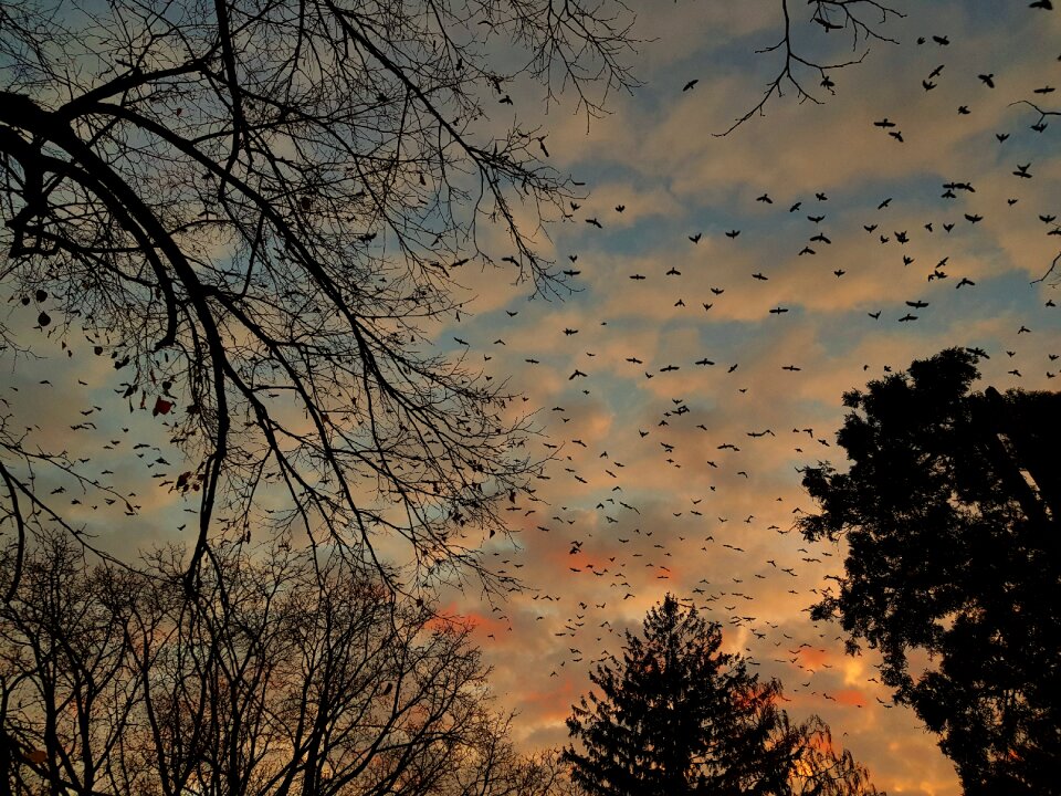 Sky nature landscape