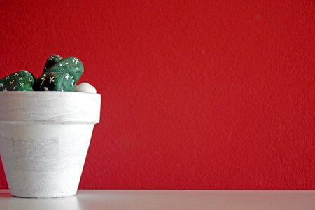 Sassi decoration wall