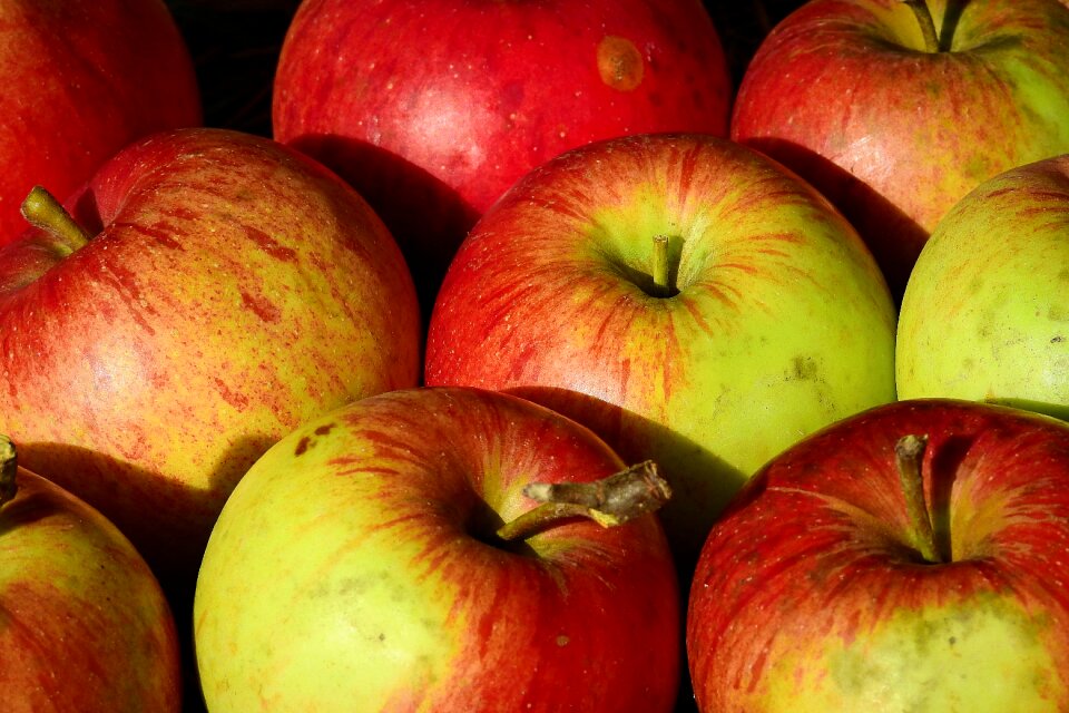 Mature healthy autumn
