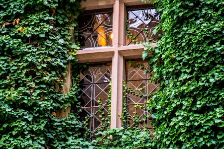 Hohenzollern castle alb eaves photo