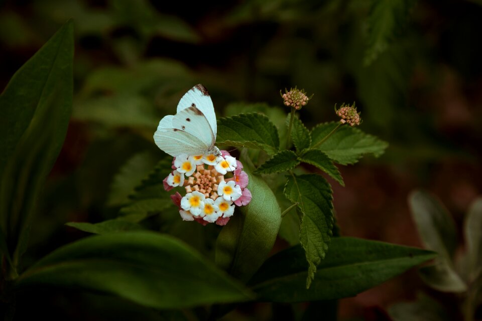 Travel spring background